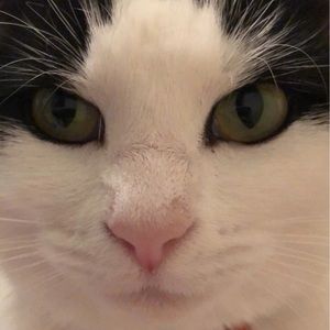 Meet your Posher, Grace